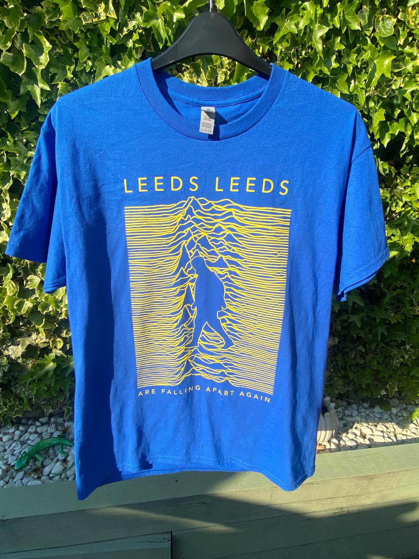 Blue Leeds Are Falling Apart (Bielsa) T-shirt